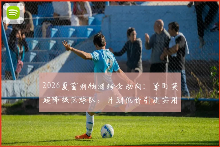2026夏窗利物浦转会动向:紧盯英超降级区球队,计划低价引进实用型球员补强阵容