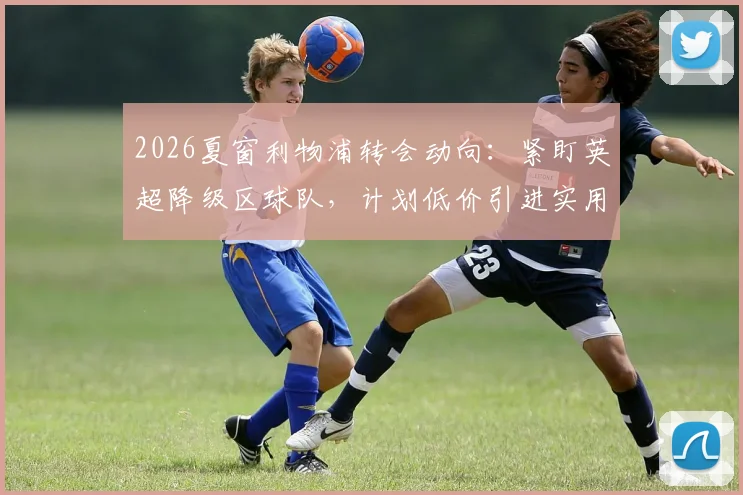 2026夏窗利物浦转会动向：紧盯英超降级区球队，计划低价引进实用型球员补强阵容