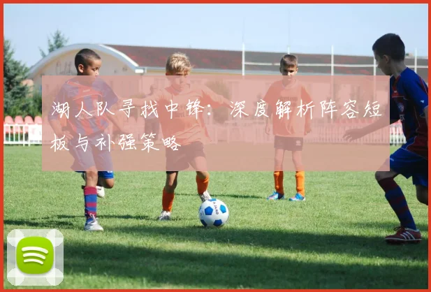 湖人队寻找中锋：深度解析阵容短板与补强策略